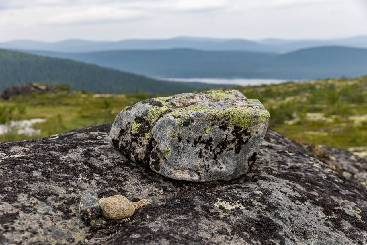 В Лапландском заповеднике к лету откроется новый экомаршрут «Кругосветка»