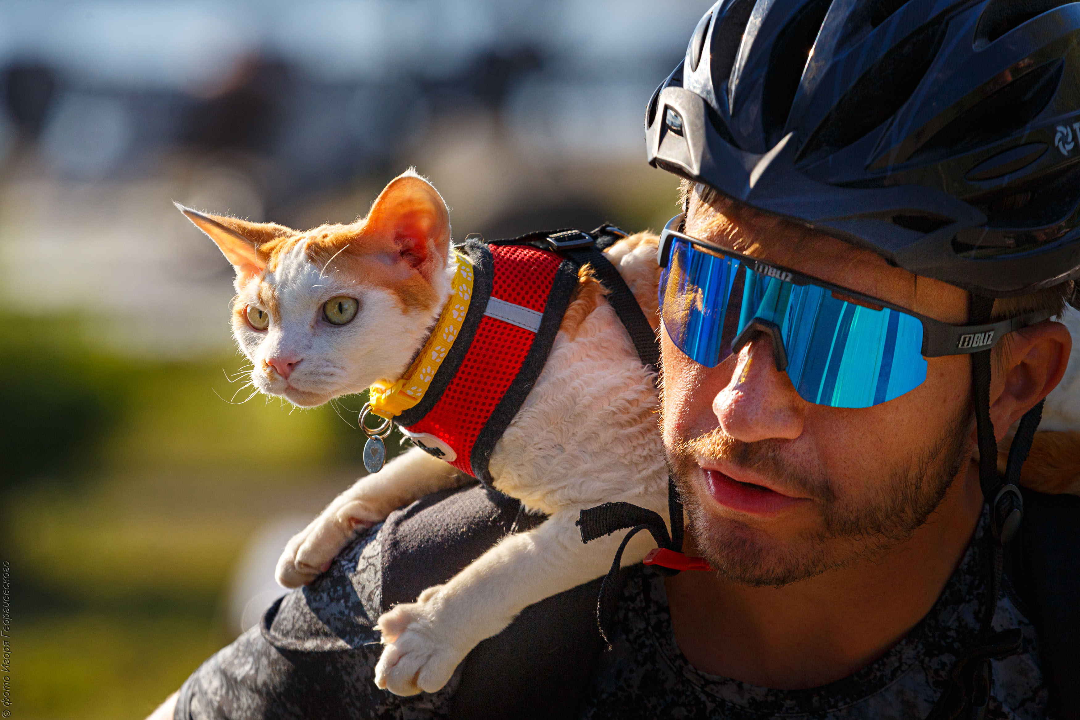 «Кижи Run&Swim». Фестиваль спорта 	