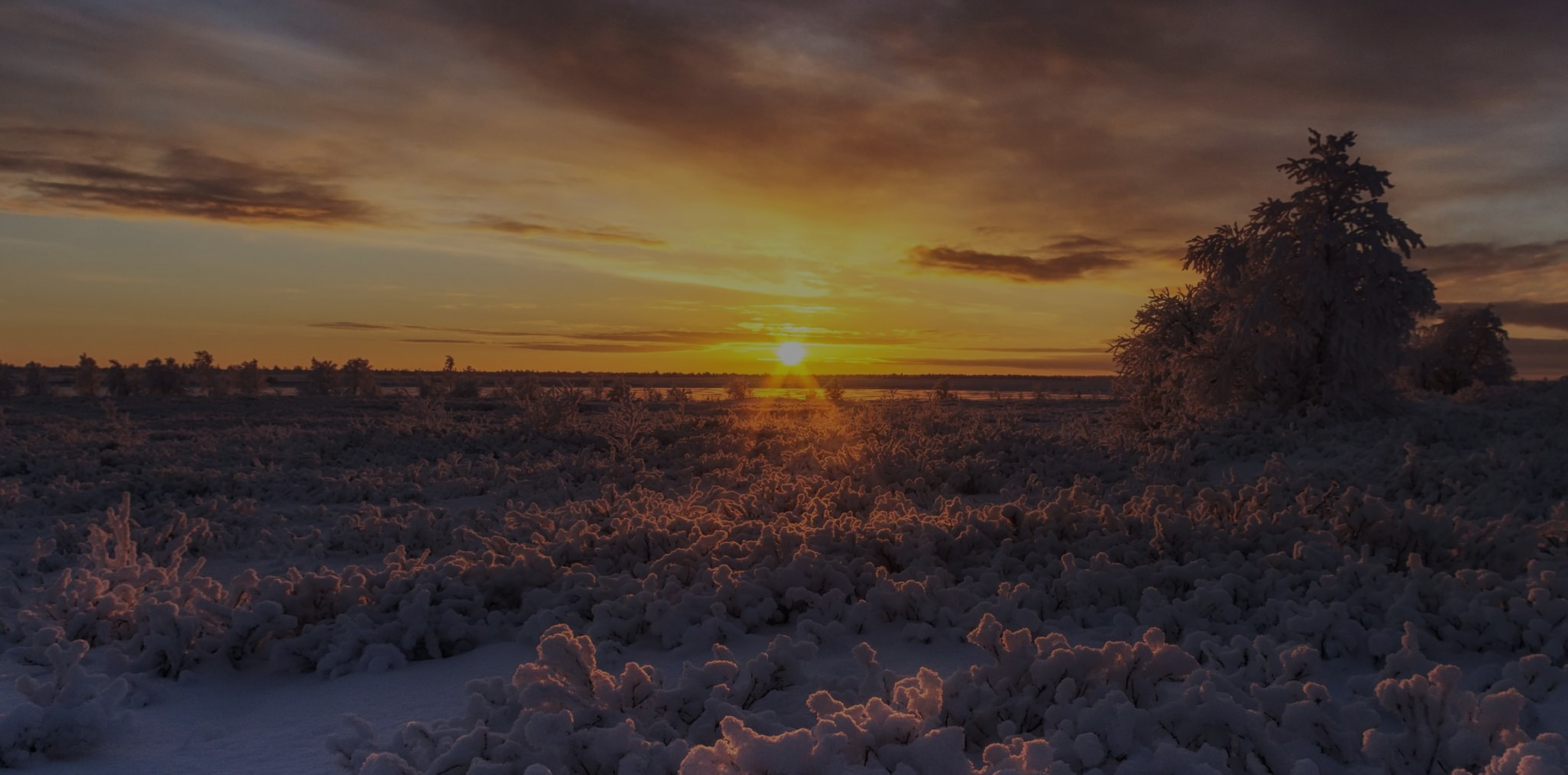 Ненецкий автономный округ