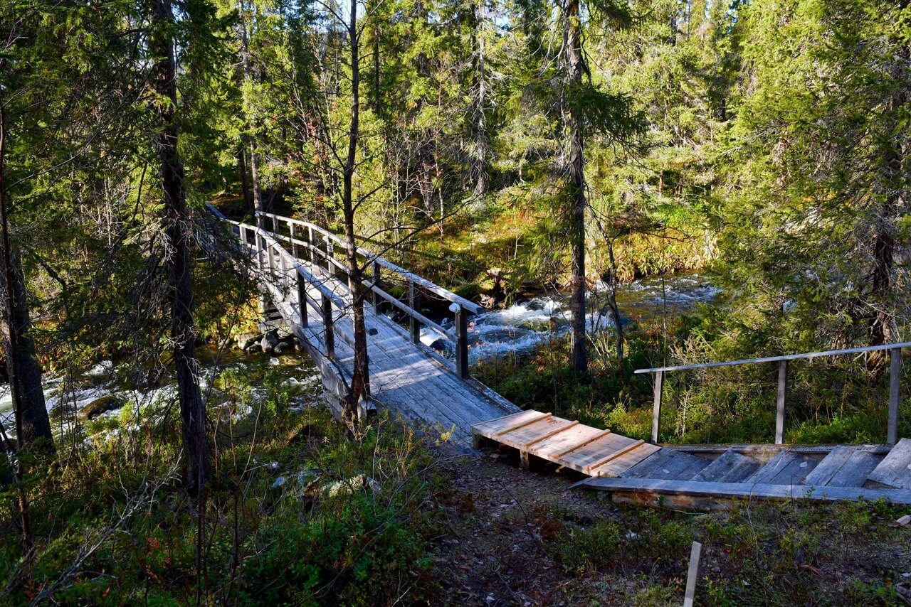 Фестиваль природы в Лапландском заповеднике «Унесенные в тундру» 