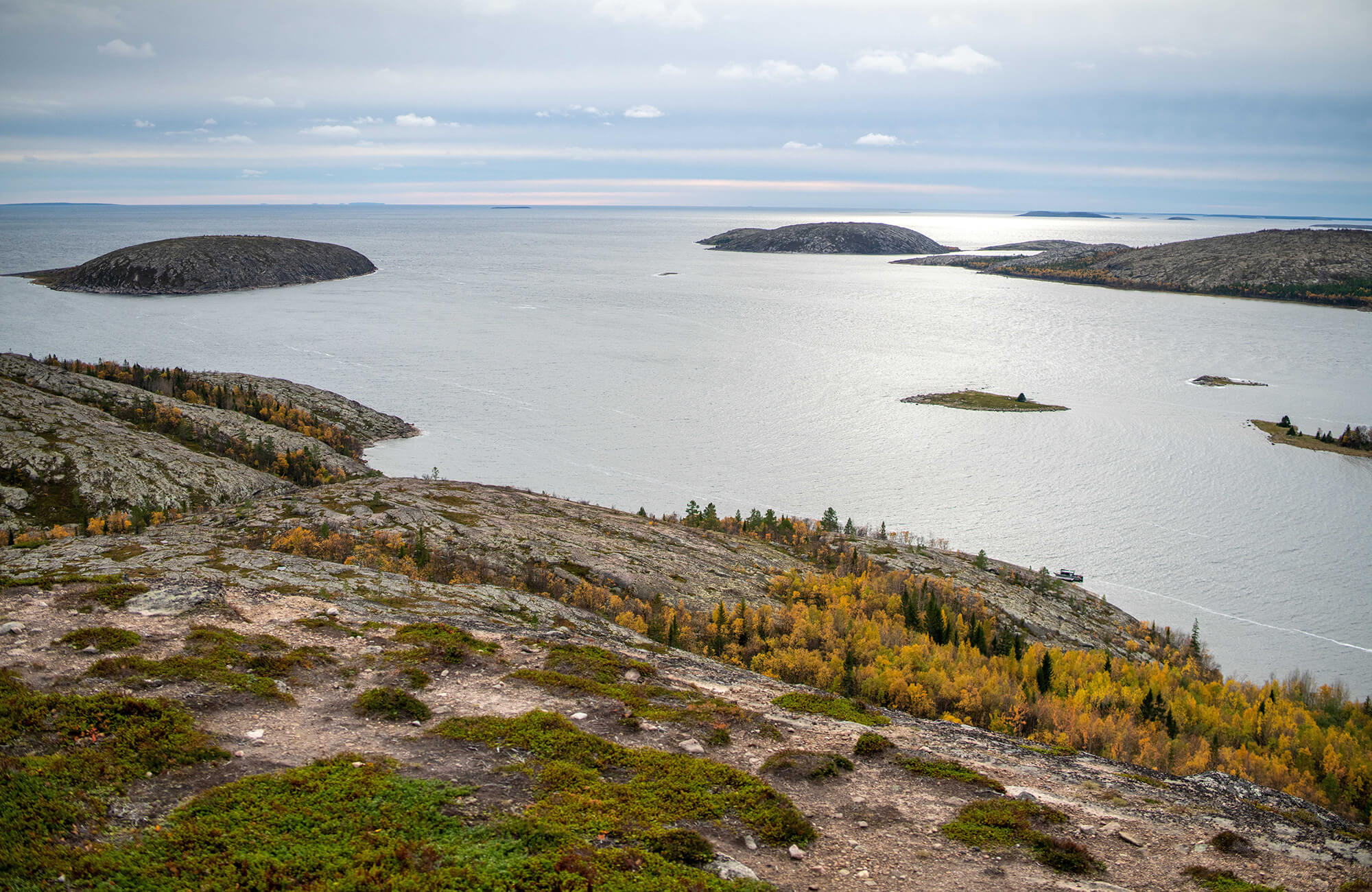 Фоновое изображение