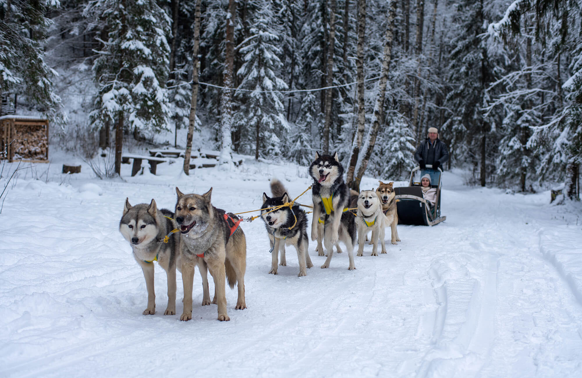 Фоновое изображение
