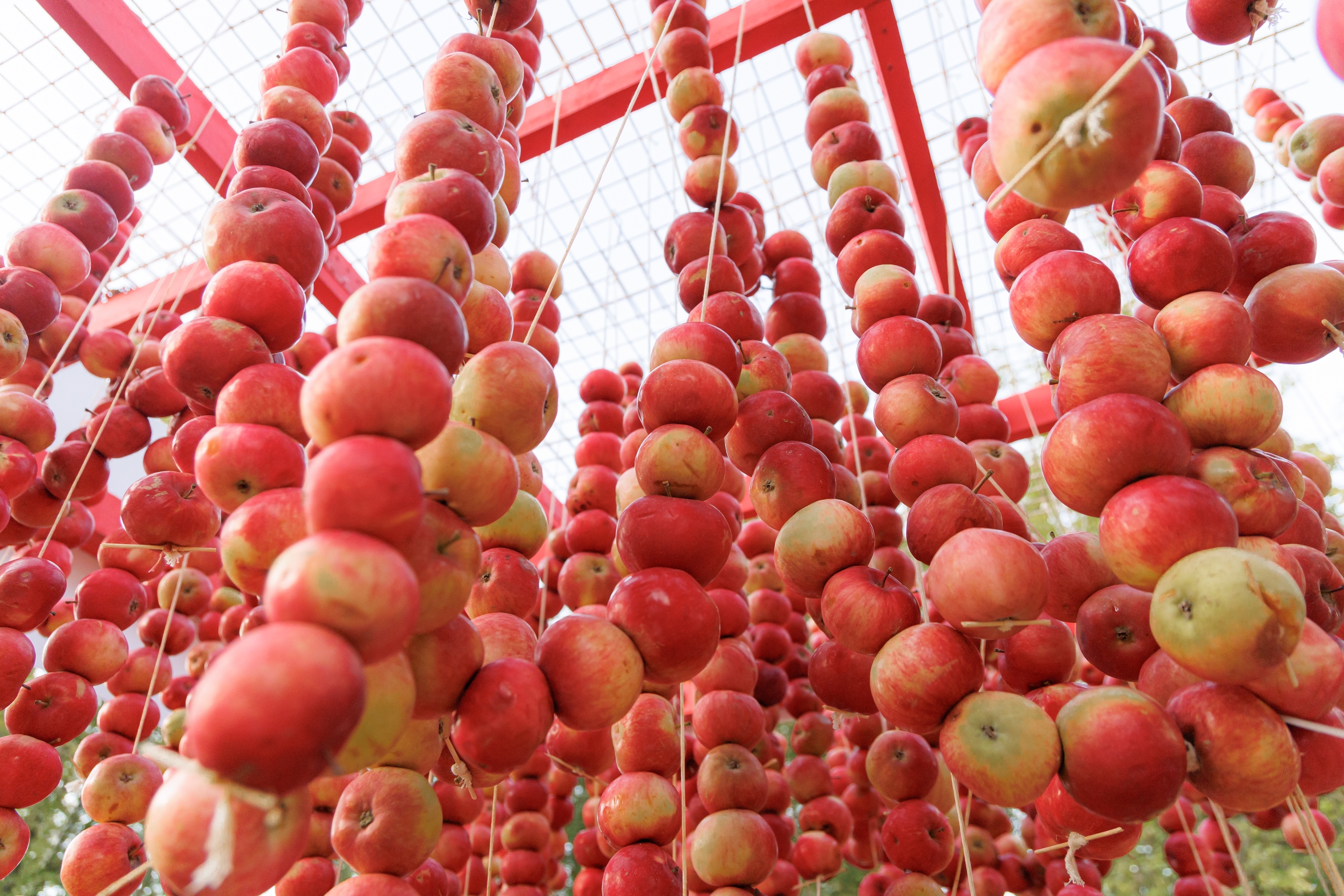 Фестиваль «Лешуга 2026»