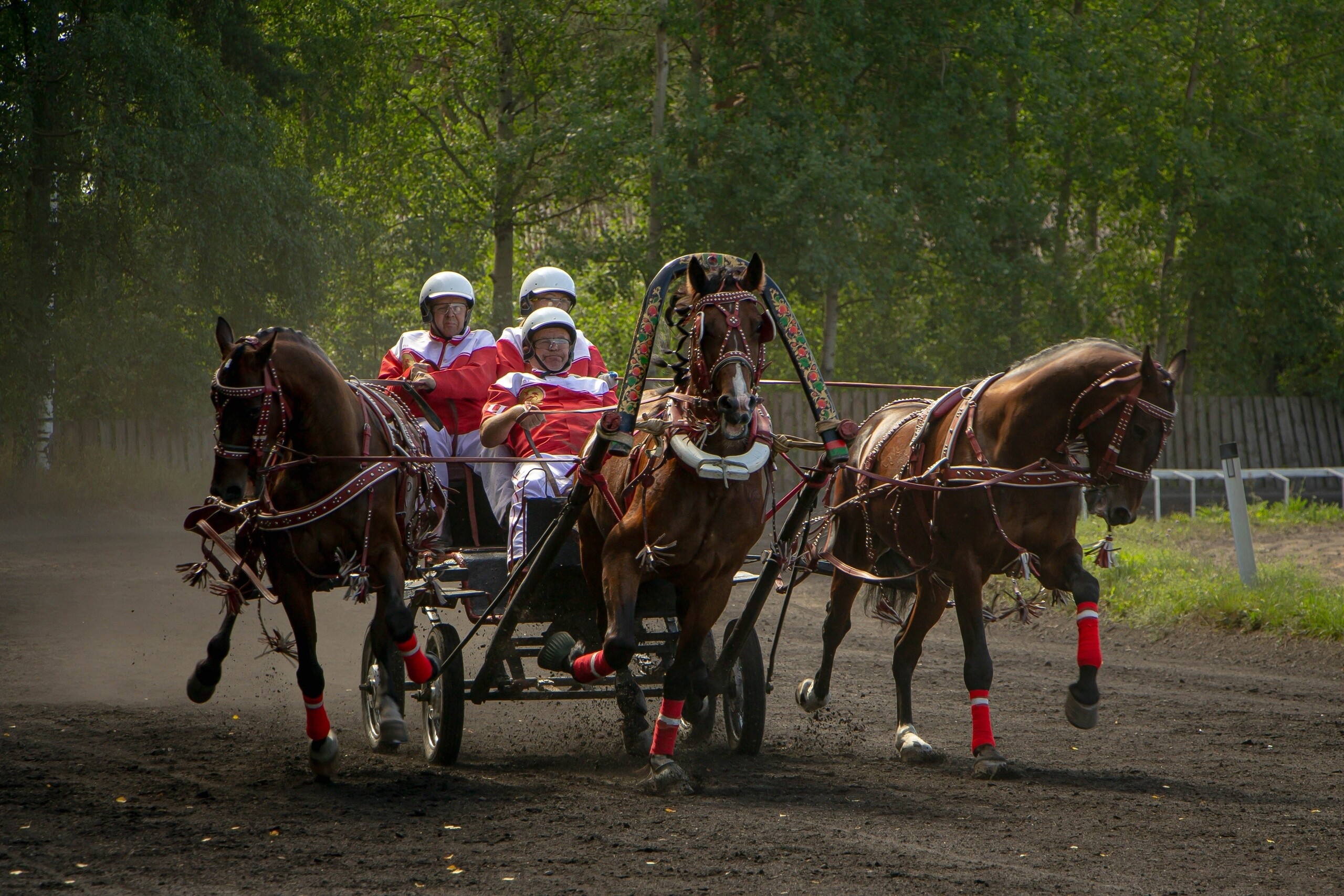 XI конноспортивные соревнования «Гордость Поморья»