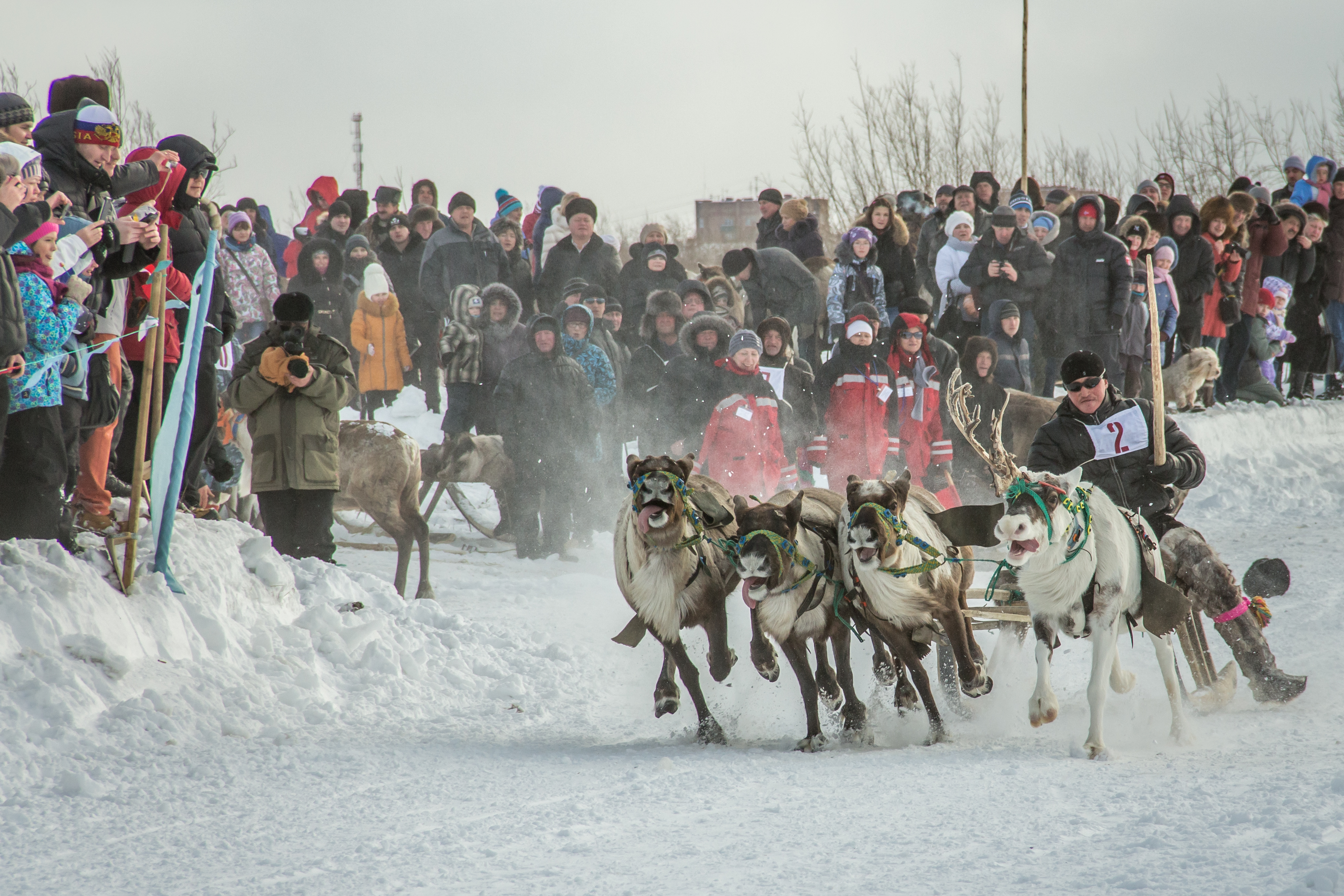 Праздник оленеводов «Тэрыб кöр» 